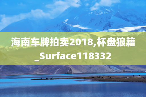 海南车牌拍卖2018,杯盘狼籍_Surface118332