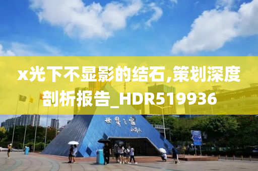 x光下不显影的结石,策划深度剖析报告_HDR519936