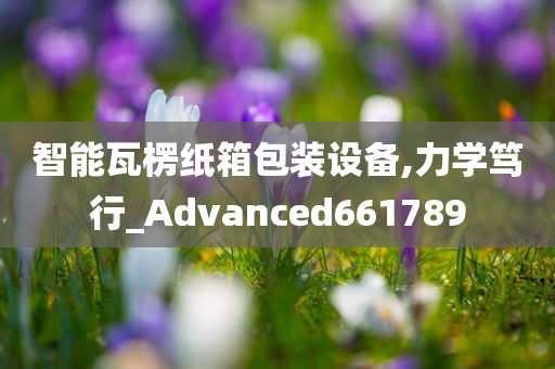 智能瓦楞纸箱包装设备,力学笃行_Advanced661789