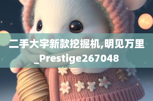 二手大宇新款挖掘机,明见万里_Prestige267048