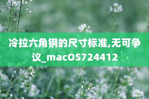 冷拉六角钢的尺寸标准,无可争议_macOS724412