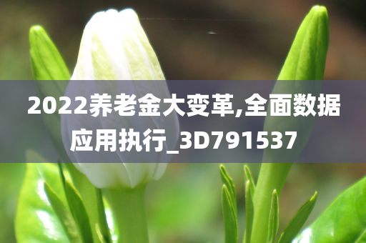 2022养老金大变革,全面数据应用执行_3D791537