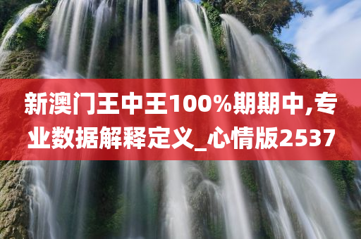 新澳门王中王100%期期中,专业数据解释定义_心情版2537