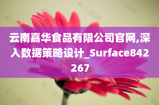 云南嘉华食品有限公司官网,深入数据策略设计_Surface842267