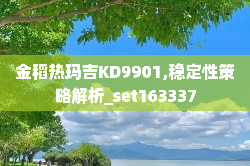 金稻热玛吉KD9901,稳定性策略解析_set163337