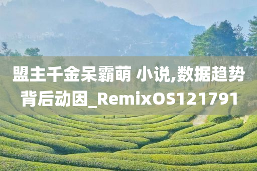 盟主千金呆霸萌 小说,数据趋势背后动因_RemixOS121791