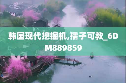 韩国现代挖掘机,孺子可教_6DM889859