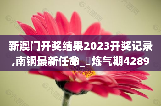 新澳门开奖结果2023开奖记录,南钢最新任命_‌炼气期4289