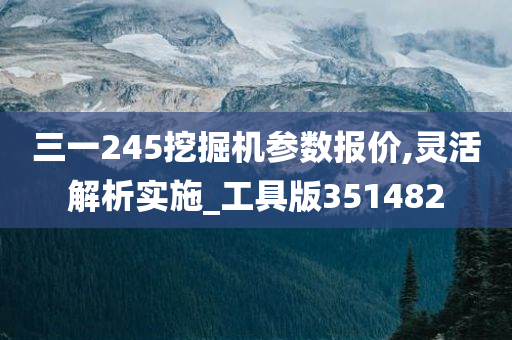 三一245挖掘机参数报价,灵活解析实施_工具版351482