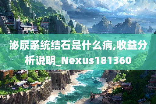 泌尿系统结石是什么病,收益分析说明_Nexus181360