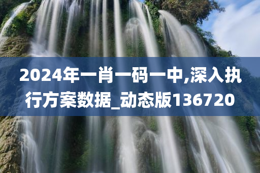 2024年一肖一码一中,深入执行方案数据_动态版136720