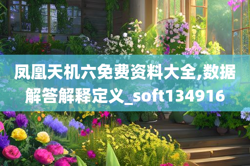 凤凰天机六免费资料大全,数据解答解释定义_soft134916