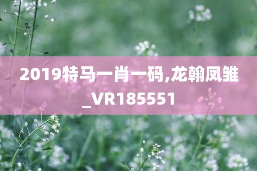 2019特马一肖一码,龙翰凤雏_VR185551