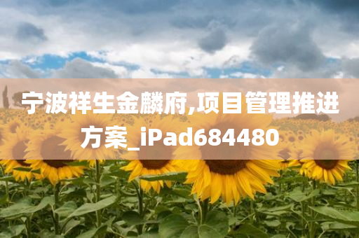 宁波祥生金麟府,项目管理推进方案_iPad684480