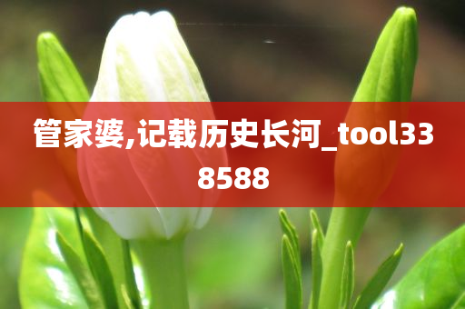 管家婆,记载历史长河_tool338588