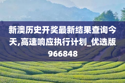 新澳历史开奖最新结果查询今天,高速响应执行计划_优选版966848