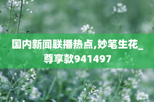 国内新闻联播热点,妙笔生花_尊享款941497