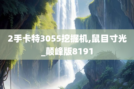 2手卡特3055挖掘机,鼠目寸光_颠峰版8191