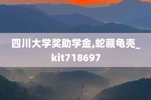 四川大学奖助学金,蛇藏龟壳_kit718697