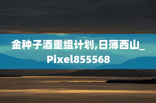 金种子酒重组计划,日薄西山_Pixel855568