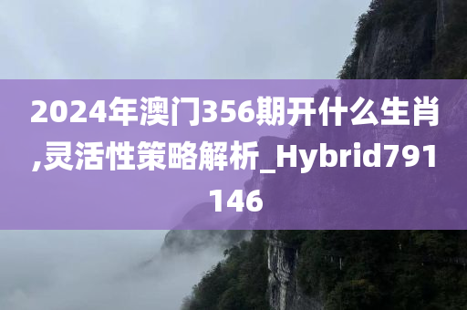 2024年澳门356期开什么生肖,灵活性策略解析_Hybrid791146