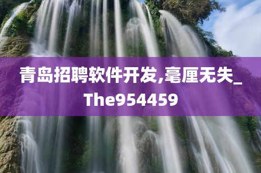 青岛招聘软件开发,毫厘无失_The954459