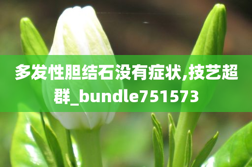 多发性胆结石没有症状,技艺超群_bundle751573