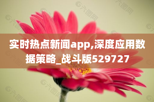 实时热点新闻app,深度应用数据策略_战斗版529727