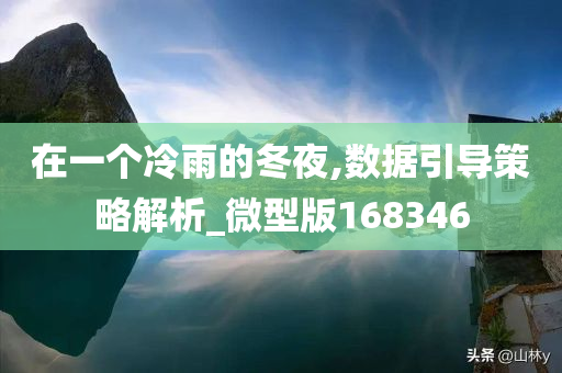 在一个冷雨的冬夜,数据引导策略解析_微型版168346