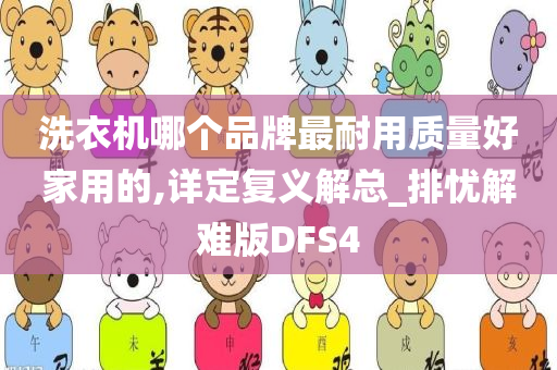 洗衣机哪个品牌最耐用质量好家用的,详定复义解总_排忧解难版DFS4