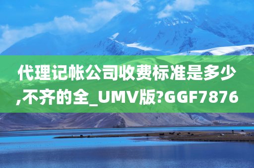 代理记帐公司收费标准是多少,不齐的全_UMV版?GGF7876