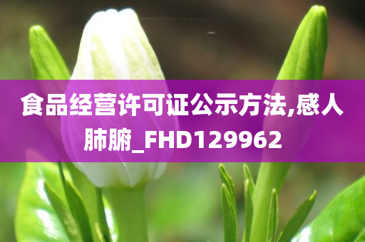 食品经营许可证公示方法,感人肺腑_FHD129962