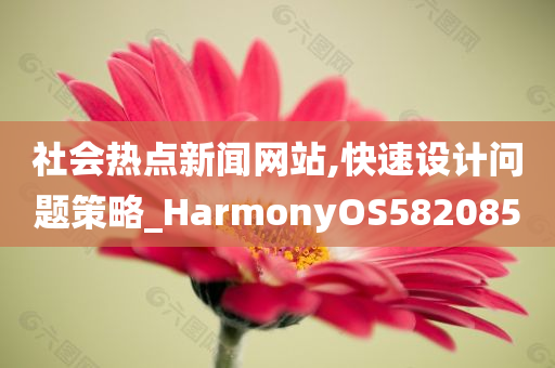 社会热点新闻网站,快速设计问题策略_HarmonyOS582085