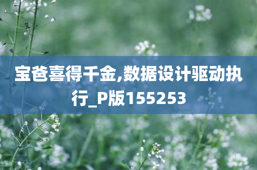 宝爸喜得千金,数据设计驱动执行_P版155253