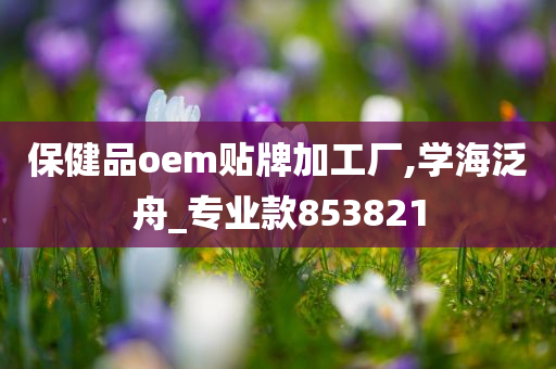 保健品oem贴牌加工厂,学海泛舟_专业款853821