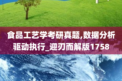 食品工艺学考研真题,数据分析驱动执行_迎刃而解版1758