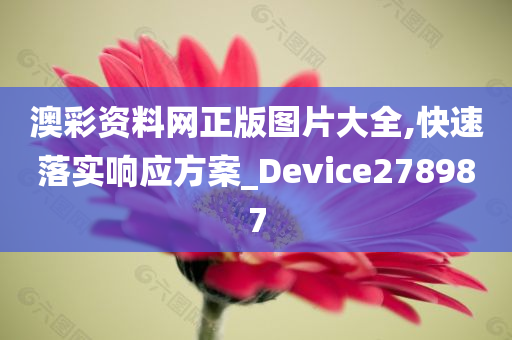 澳彩资料网正版图片大全,快速落实响应方案_Device278987