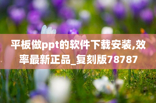 平板做ppt的软件下载安装,效率最新正品_复刻版78787