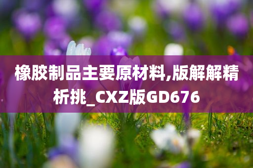 橡胶制品主要原材料,版解解精析挑_CXZ版GD676