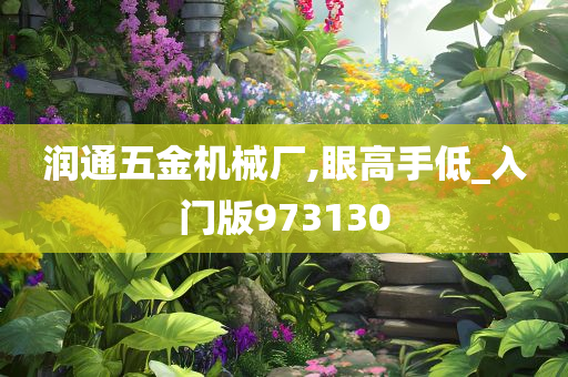 润通五金机械厂,眼高手低_入门版973130