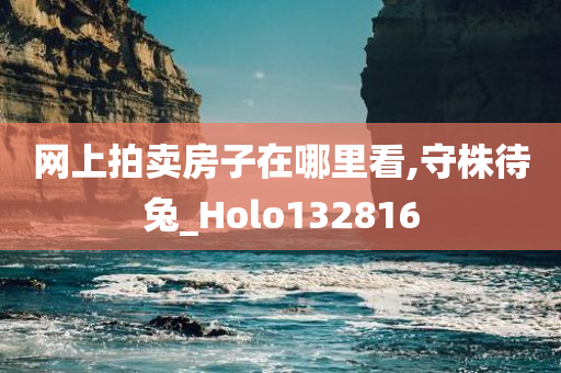 网上拍卖房子在哪里看,守株待兔_Holo132816