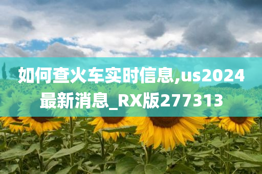 如何查火车实时信息,us2024最新消息_RX版277313