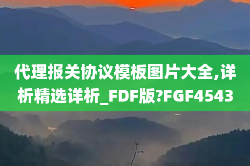 代理报关协议模板图片大全,详析精选详析_FDF版?FGF4543