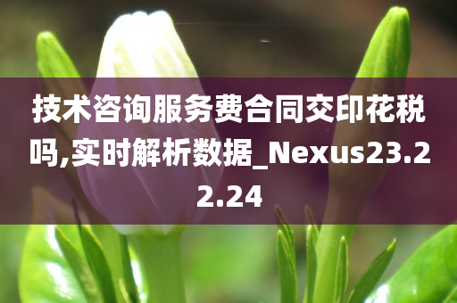 技术咨询服务费合同交印花税吗,实时解析数据_Nexus23.22.24