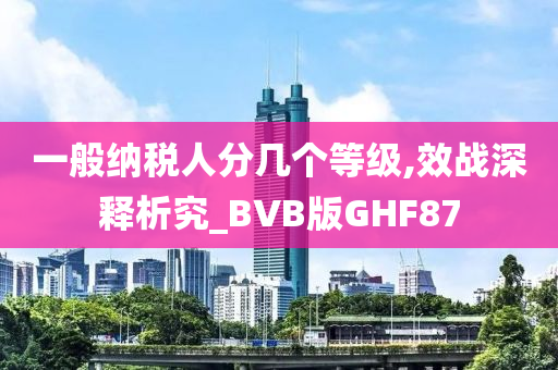 一般纳税人分几个等级,效战深释析究_BVB版GHF87