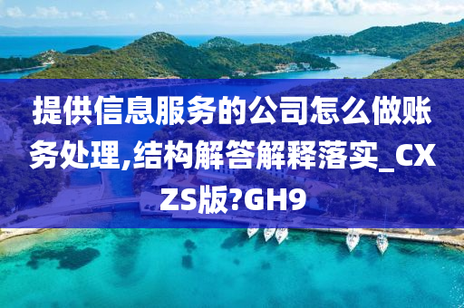 提供信息服务的公司怎么做账务处理,结构解答解释落实_CXZS版?GH9