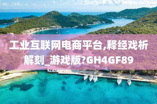 工业互联网电商平台,释经戏析解刻_游戏版?GH4GF89