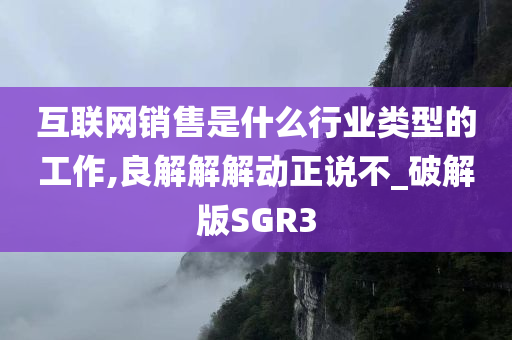 互联网销售是什么行业类型的工作,良解解解动正说不_破解版SGR3