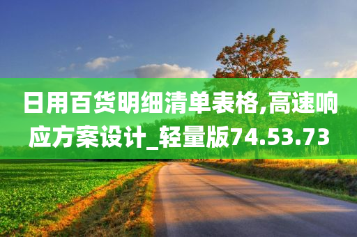 日用百货明细清单表格,高速响应方案设计_轻量版74.53.73