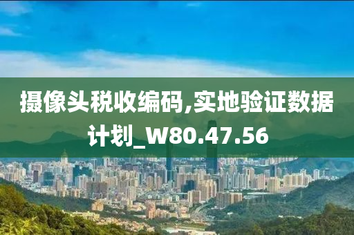 摄像头税收编码,实地验证数据计划_W80.47.56